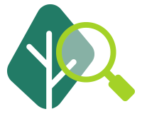 Eccø Segell Verde: Aspectes analitzats